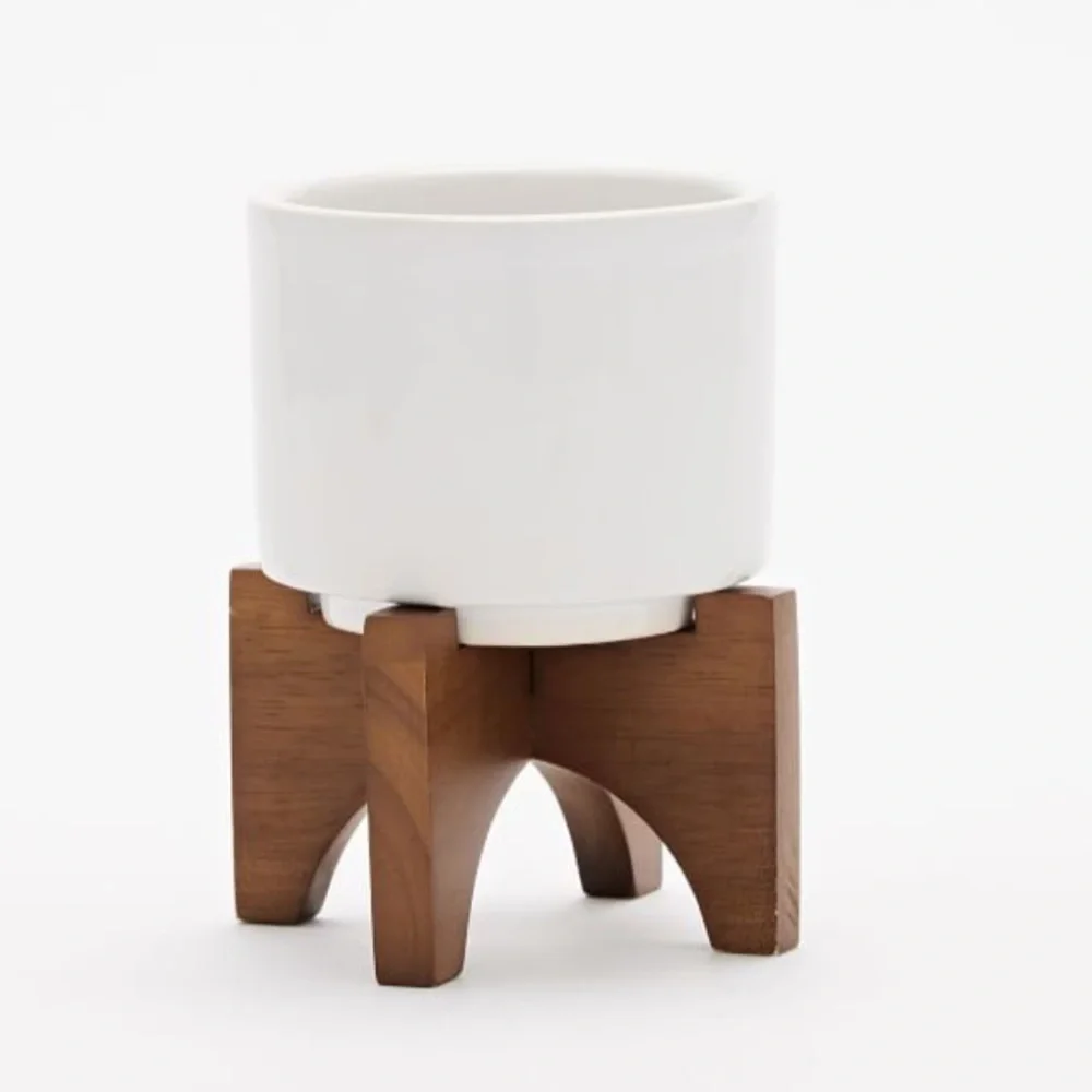 Small Mid Century West Elm Tabletop planter